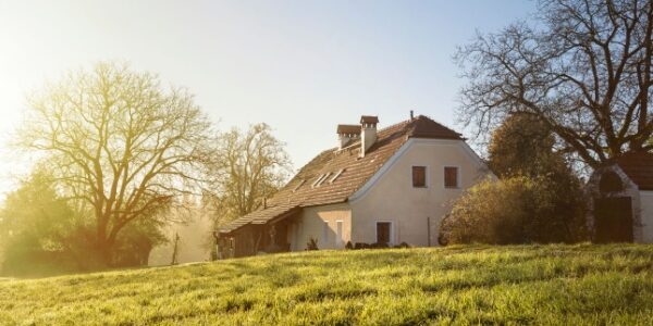 Bail rural : bien amélioré par le preneur = augmentation du fermage ?