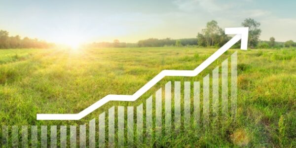 Taxe sur la cession à titre onéreux d’un terrain nu devenu constructible : du nouveau pour 2025 !