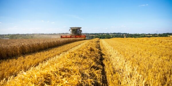 Secteur agricole : ce qui va changer en 2025