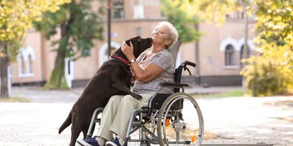 EHPAD et animaux de compagnie des résidents : les conditions sont connues !