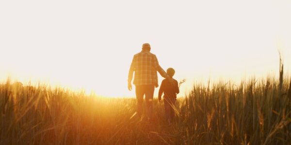 Pension d’orphelin : aussi pour les enfants d’agriculteurs !