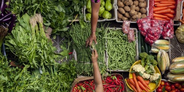Loi sur la stabilité économique et la compétitivité du secteur agroalimentaire : quelles nouveautés ? 
