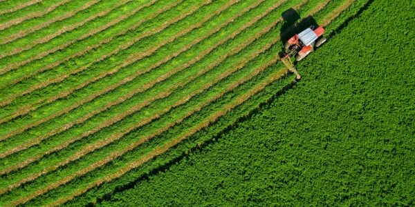 Souveraineté alimentaire : du nouveau ?