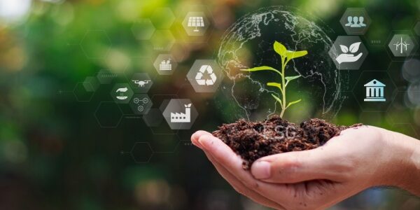 Agriculture : aides financières et respect de l’environnement