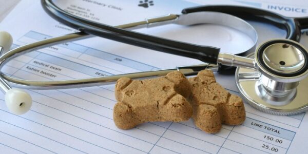 Frais de vétérinaires et d’alimentation animale : une révision de la TVA en vue pour les SPA ?