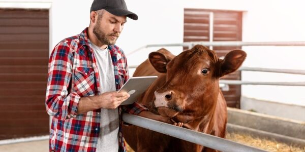 Agriculture : point sur la situation