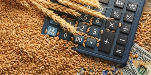 Coopératives agricoles d’approvisionnement : toujours exonérées d’impôt sur les sociétés ?
