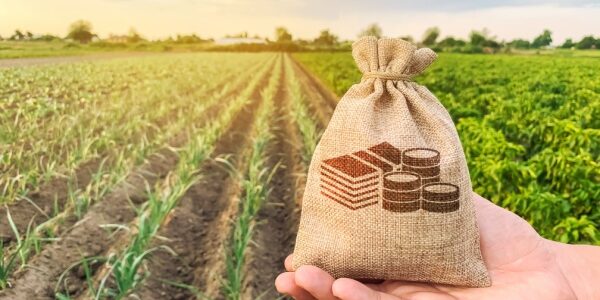 Jeunes agriculteurs : du nouveau du côté des exonérations sociales !