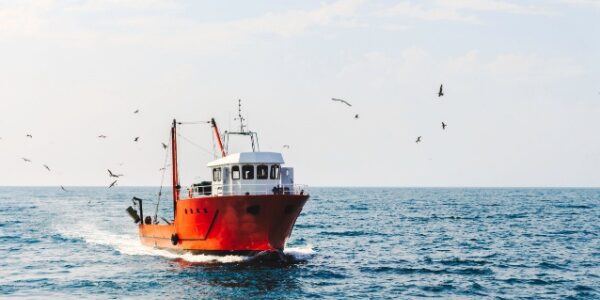 Exonération partielle d’impôt sur le revenu des marins pêcheurs : pour quel montant ?