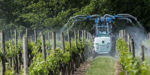Produits phytopharmaceutiques : faciliter la lutte contre certaines maladies