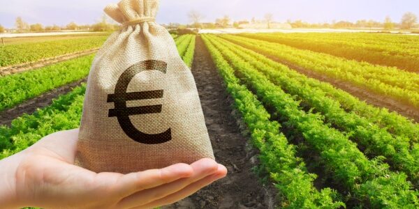 Agriculture : précisions sur les aides écorégime