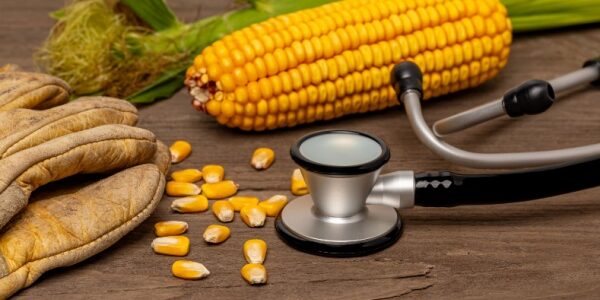 Travailleurs agricoles : bientôt du nouveau en matière de suivi de l’état de santé !
