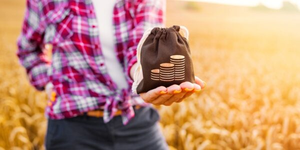 Agriculture : précisions sur de nombreuses aides