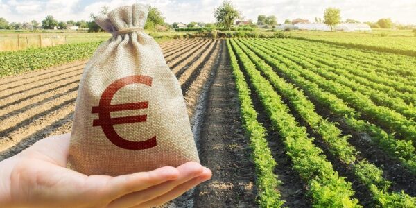 Aides à l’installation des jeunes agriculteurs : précisions sur les sanctions