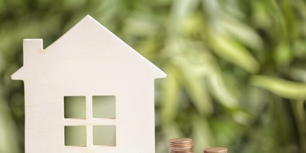 Exonération de taxe foncière : sous conditions de revenus