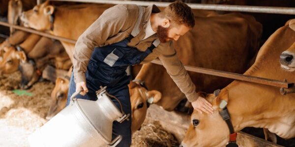 Nouvelles mesures fiscales en faveur du secteur agricole : c’est déjà parti ?