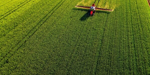 Loi Duplomb : ce qu’elle change pour les agriculteurs