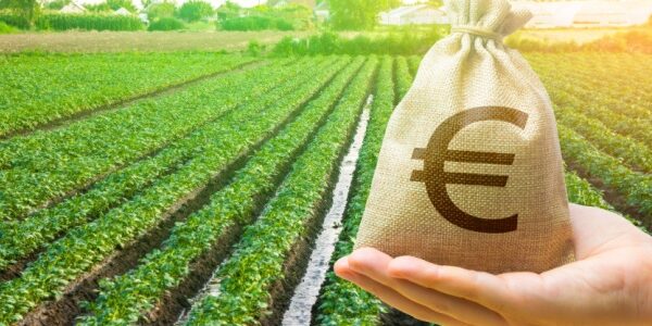 Taxe foncière sur les terres agricoles : une exonération déjà en hausse ?