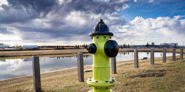 ICPE : nouvelles installations pour les chais