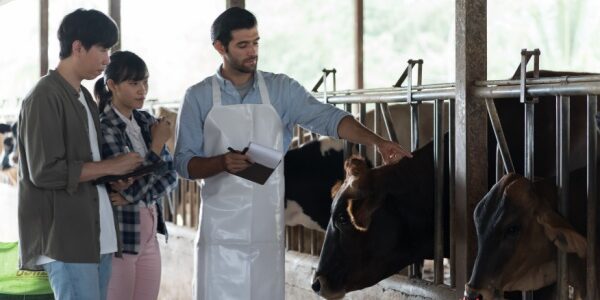 Travailleurs agricoles : une nouvelle aide à la promotion collective agricole