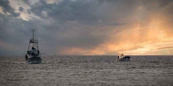 Licence de pêche européenne : rester actif pour conserver ses droits Licence de pêche européenne : rester actif pour conserver ses droits