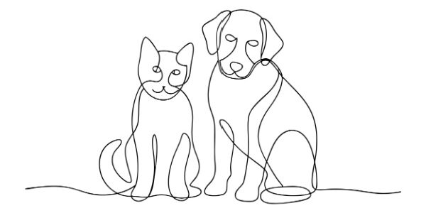 Activités liées aux animaux de compagnie : une réglementation partiellement décalée… Activités liées aux animaux de compagnie : une réglementation partiellement décalée…