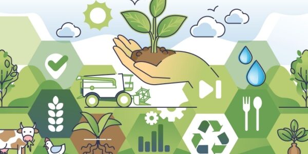 Les principales nouveautés sociales en 2026 pour le secteur agricole Les principales nouveautés sociales en 2026 pour le secteur agricole