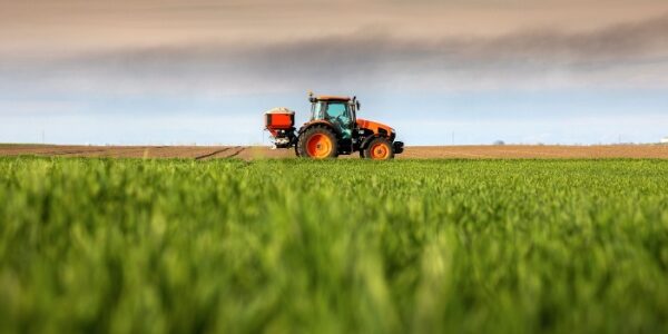 FranceAgriMer et organisations de producteurs : des sanctions possibles ? FranceAgriMer et organisations de producteurs : des sanctions possibles ?