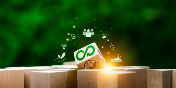 Analyses et évaluations : l’énergie au cœur des projets de grande ampleur