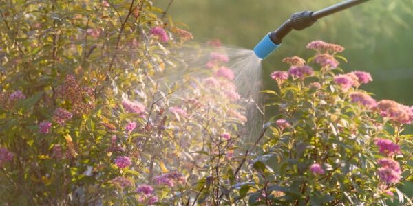 Produits phytosanitaires : réduction et contrôle de leur utilisation