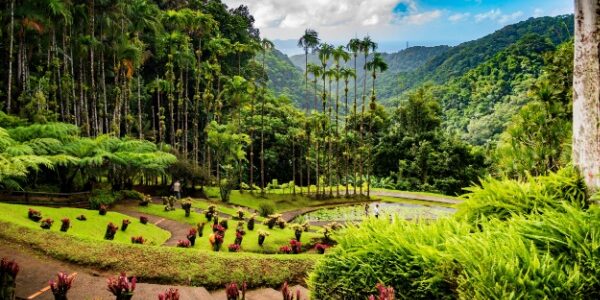 Impôts et taxes en Outremer : ce qui va changer en 2026