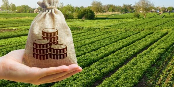 Impôts et taxes pour le secteur agricole : ce qui va changer en 2026