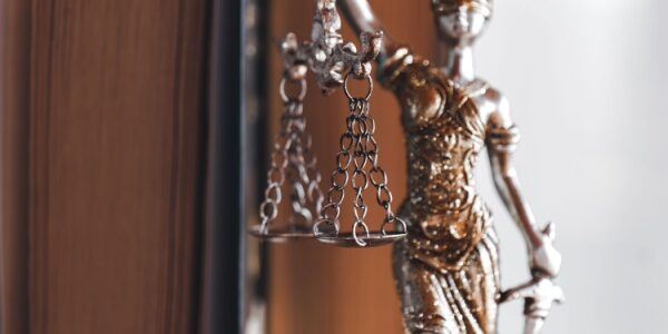 Administrateurs judiciaires : valorisation des compétences en matière de copropriété