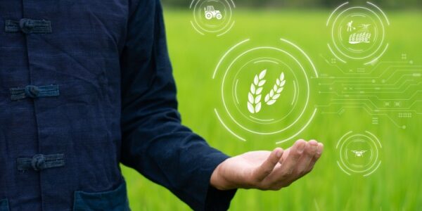 Agriculture : un droit à l’essai effectif !