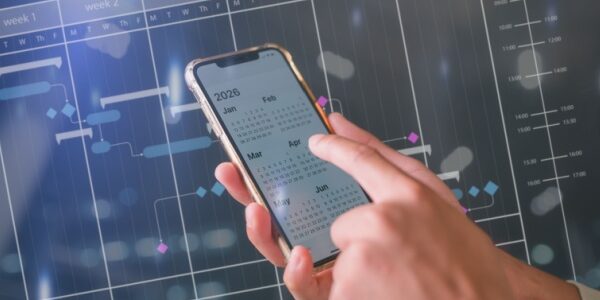 DSN de substitution : des précisions