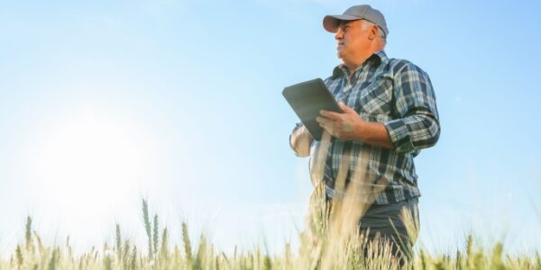 Retraite agricole : le point RCO revalorisé en 2025