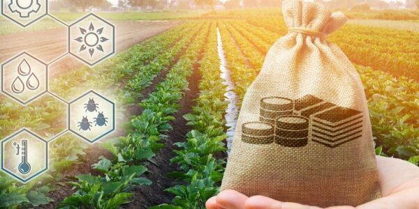 Agriculture à Saint-Pierre-et-Miquelon : une aide à l’installation possible