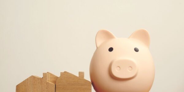 Lutte contre l’habitat indigne : de nouveau pour l’Outre-mer Lutte contre l’habitat indigne : de nouveau pour l’Outre-mer