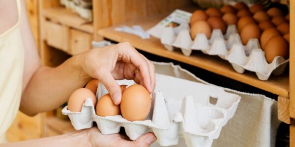 Commercialisation des œufs : précisions pour le marché français