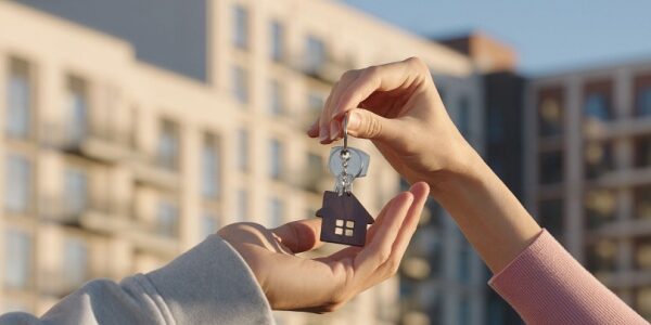 Prescription acquisitive à Mayotte : un délai raccourci