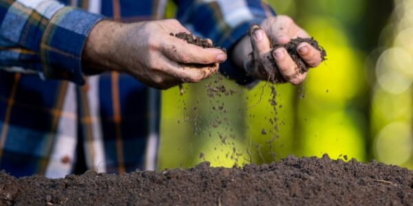 Produits fertilisants : une définition commune des usages