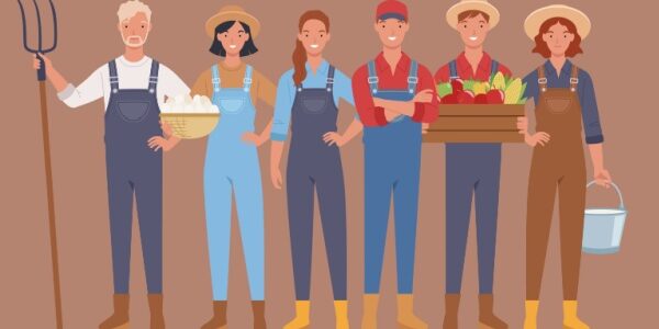 Retraite des non-salariés agricoles : nouvelles précisions