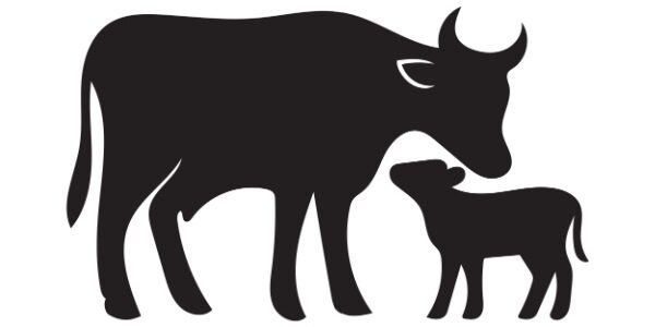 Secteur agricole : le point sur les aides en juin 2026
