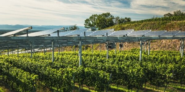 Simplification de la vie économique : faciliter l’innovation industrielle