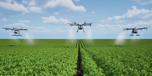 Produits phytosanitaires : détails sur la pulvérisation par drone
