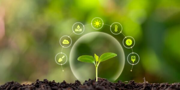 Mesures agroenvironnementales et climatiques : assouplissement de l’engagement