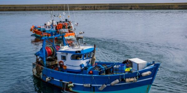 Secteur de la pêche : l’aide à l’achat de carburant adaptée Secteur de la pêche : l’aide à l’achat de carburant adaptée