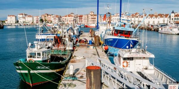 Retour de pêche : des obligations déclaratives à respecter
