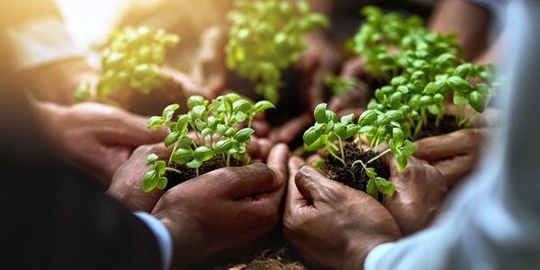 Soutien aux exploitations agricoles en difficultés : des aides possibles Soutien aux exploitations agricoles en difficultés : des aides possibles