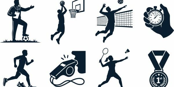 Organisation, gestion et financement du sport professionnel : réforme en cours